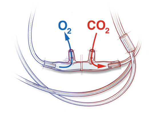 CO2_Cannula_Diagram_1_2