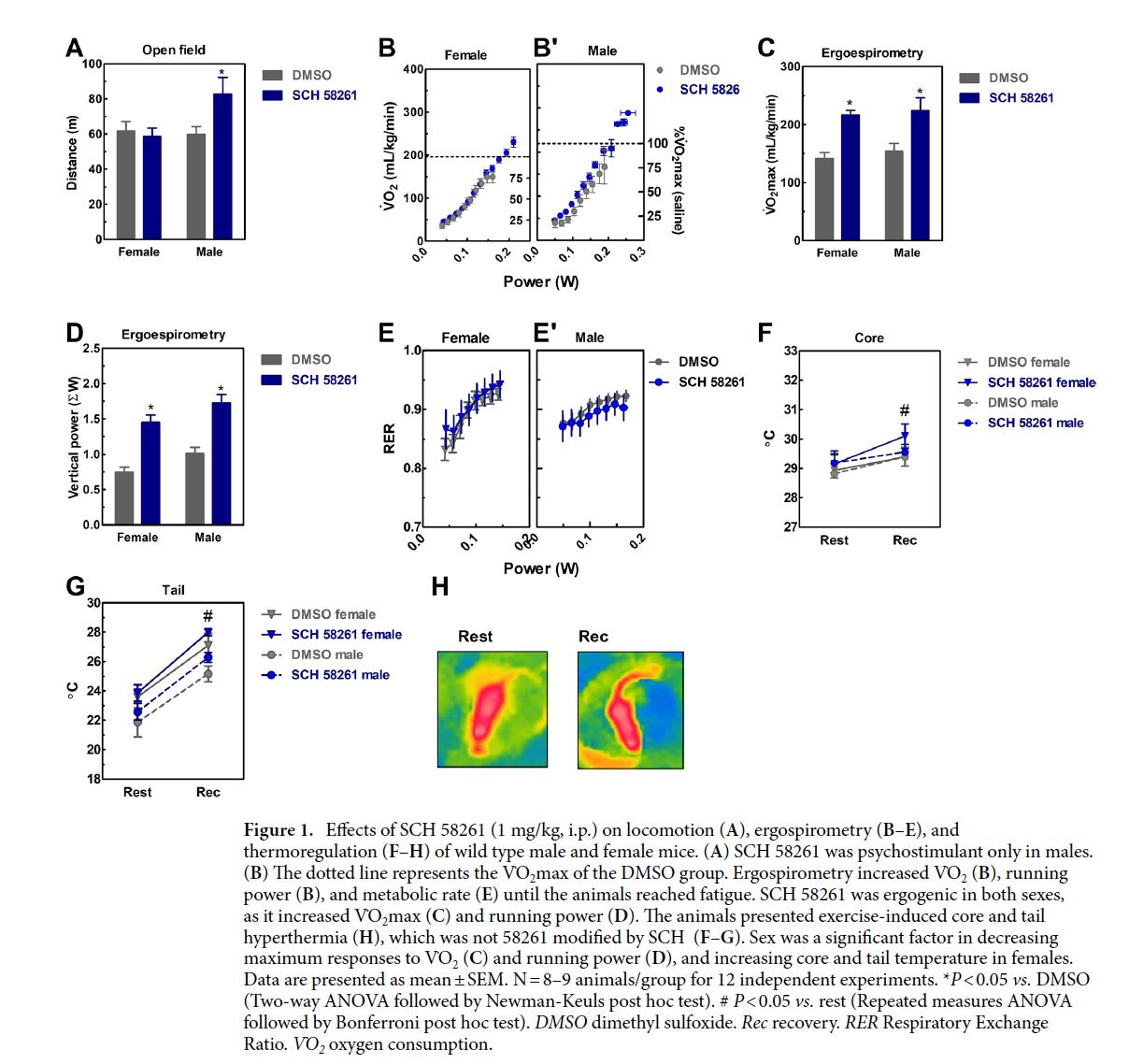 On locomotion A ergospirometry B E and thermoregulation