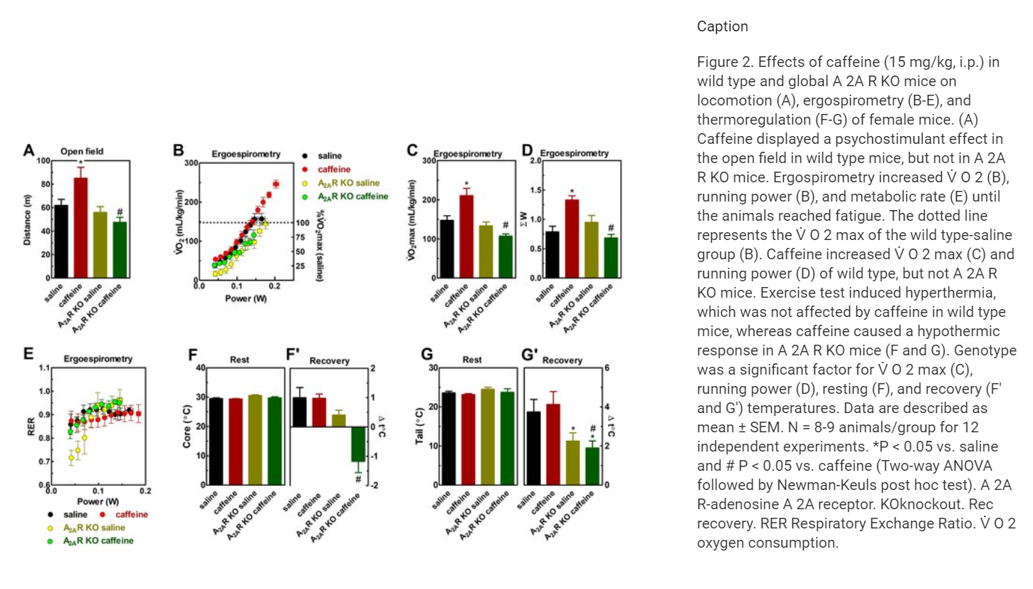 mg-kg-ip-in-wild-type-and-global-A-2A-R-KO-mice-on-locomotion