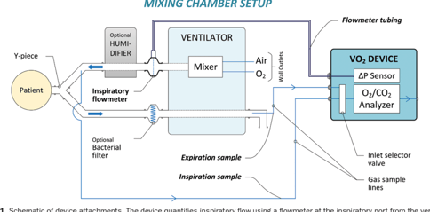 Oxygen Consumption VO2 And Energy Expenditure